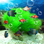 Aquarium 3d Live Wallpaper