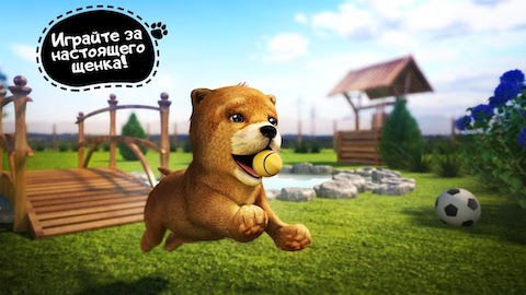 Симулятор Собаки - Скриншот 3